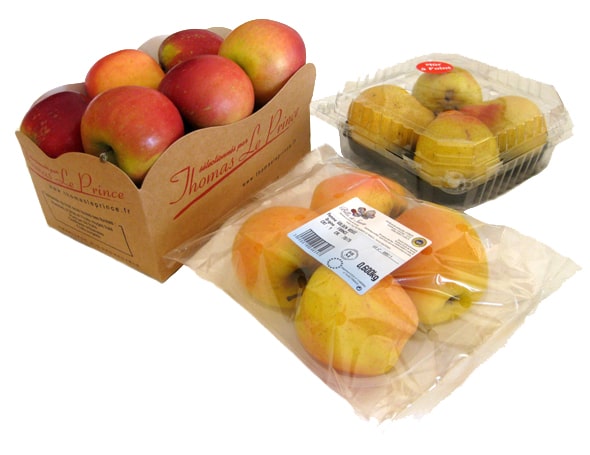 Des Pommes De Gala Propres Et Fraîches Sur Une Courroie Transporteuse Dans  Un Entrepôt D'emballage De Fruits Pour La Précision